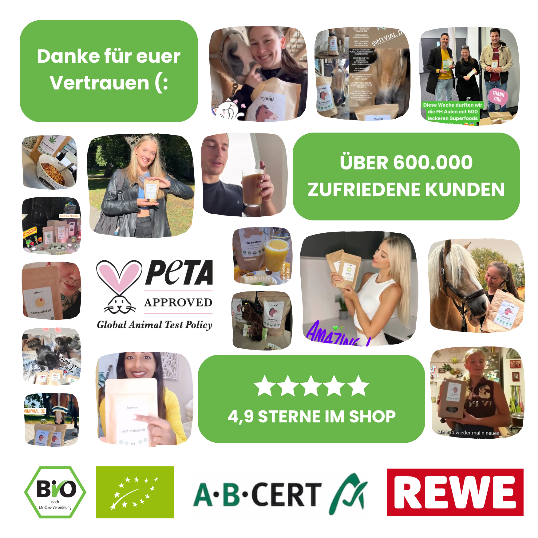 Bio Premium Matcha Pulver aus Japan – Zeremonienqualität