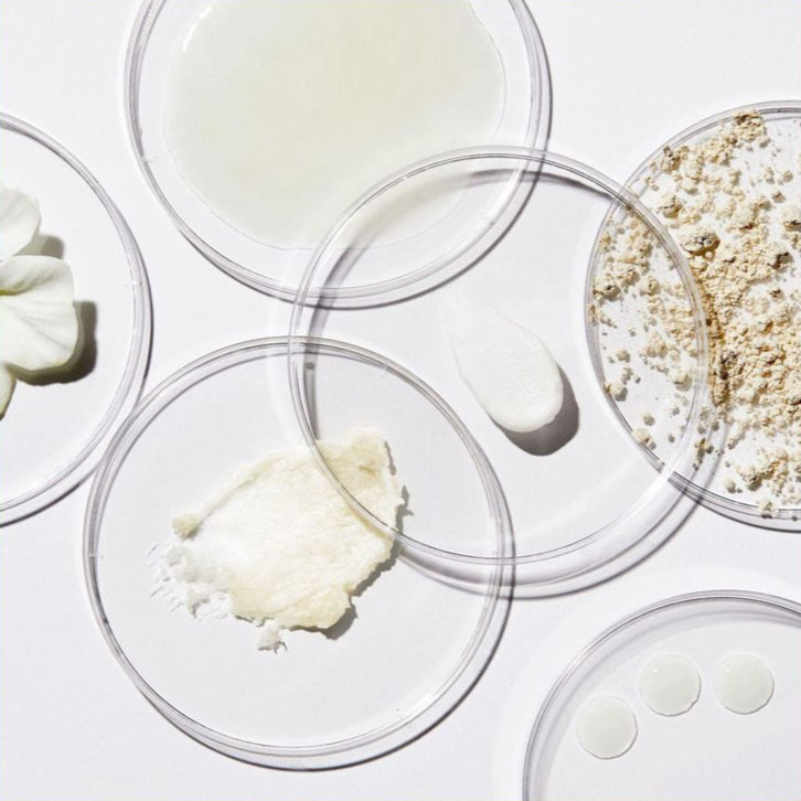 Immune Support Supplement Capsules by Dr. Noel – IMMUNEBALANCE+ for Da