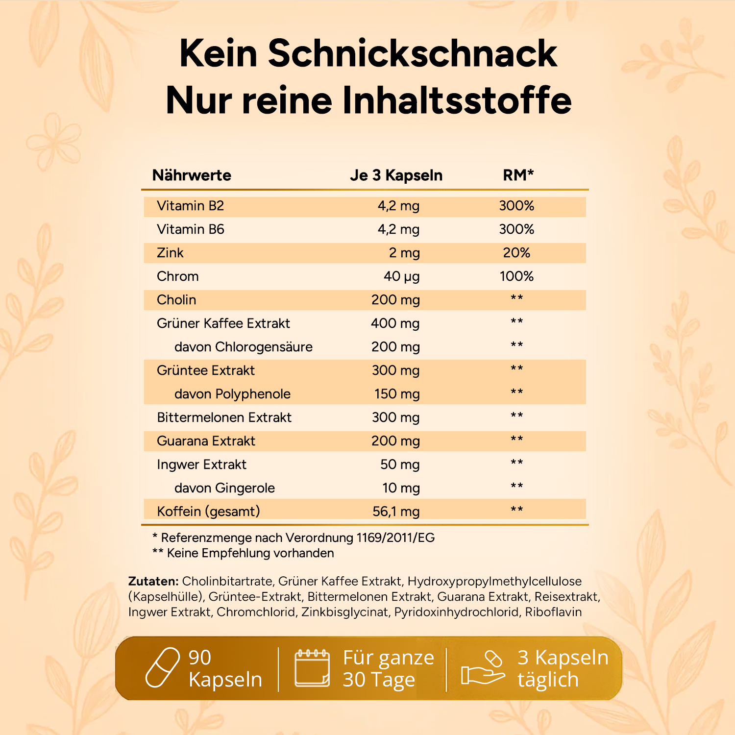 Stoffwechsel Plus – Stoffwechsel Komplex