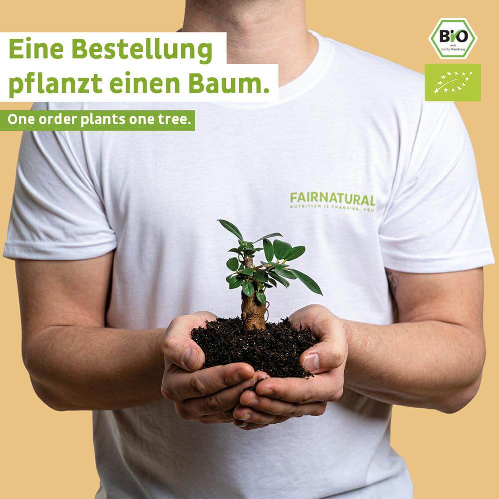 Bio Veganes Proteinpulver Vanille ohne Soja
